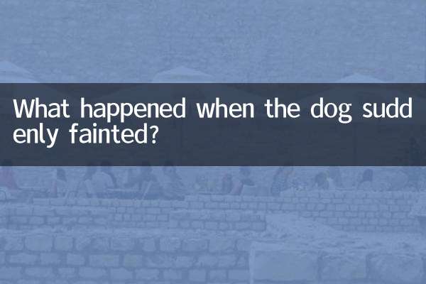 কুকুরটি হঠাৎ অজ্ঞান হয়ে গেলে কী হল?