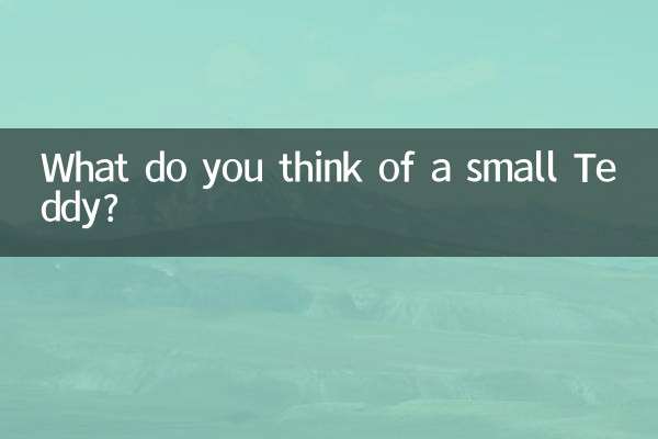 آپ ایک چھوٹی ٹیڈی کے بارے میں کیا سوچتے ہیں؟