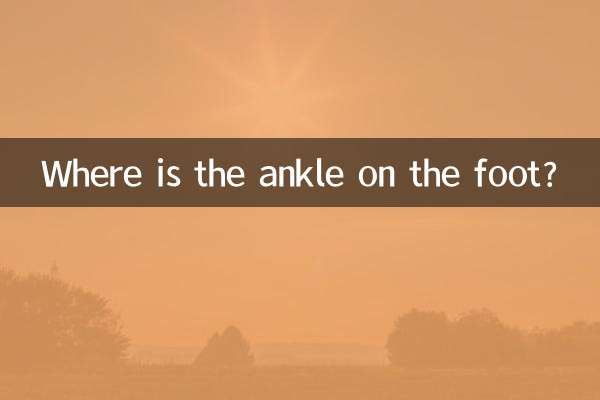 Where is the ankle on the foot?