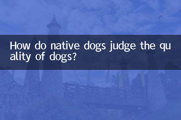 Как местные собаки оценивают качество собак?