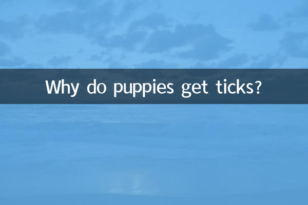 なぜ子犬はダニにかかるのでしょうか?
