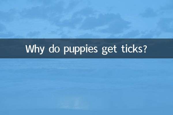 なぜ子犬はダニにかかるのでしょうか？