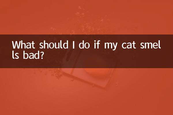 اگر میری بلی کی بدبو آ رہی ہے تو مجھے کیا کرنا چاہئے؟