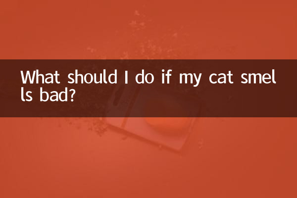 猫有味道怎么办