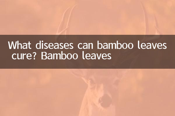 Quali malattie possono curare le foglie di bambù? Foglie di bambù