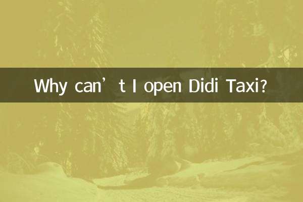 Perché non riesco ad aprire Didi Taxi?