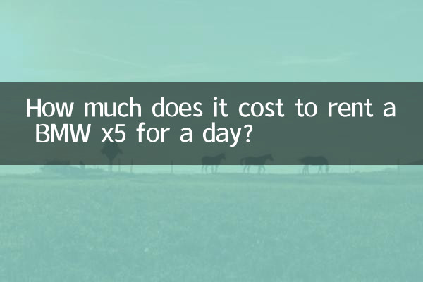 Wie viel kostet es, einen BMW x5 für einen Tag zu mieten?