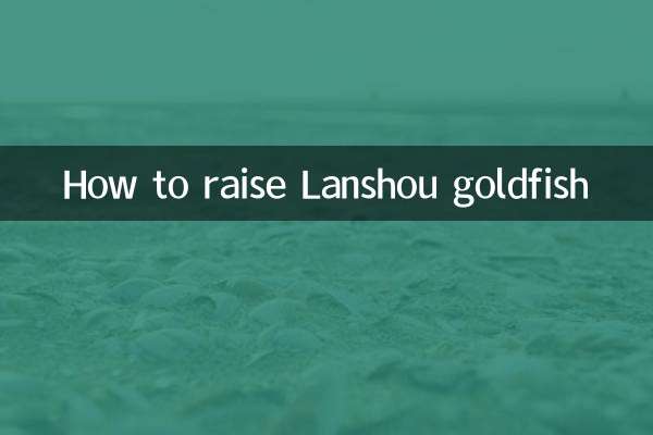 কিভাবে Lanshou গোল্ডফিশ বাড়াতে