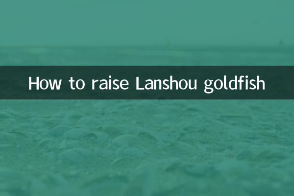 چگونه ماهی قرمز لانشو پرورش دهیم