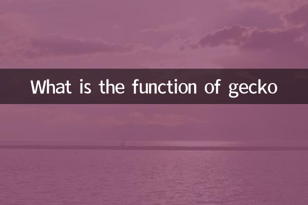 گیکو کا کام کیا ہے؟