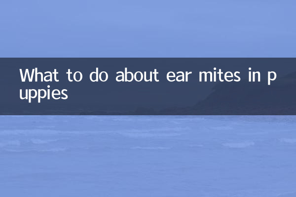 小狗长耳螨怎么办