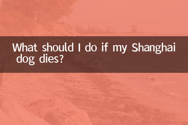 上海狗死了怎麼辦