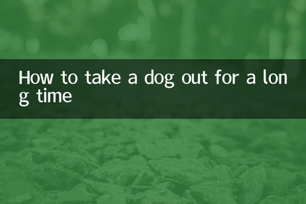 Wie man einen Hund für eine lange Zeit rausnimmt