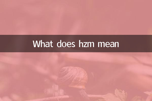 Was bedeutet HZM