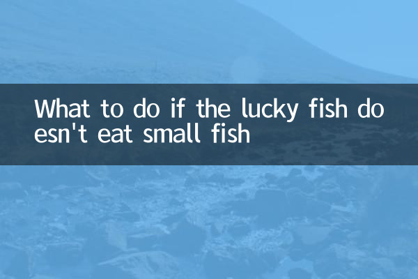 Was zu tun, wenn der glückliche Fisch keinen kleinen Fisch isst