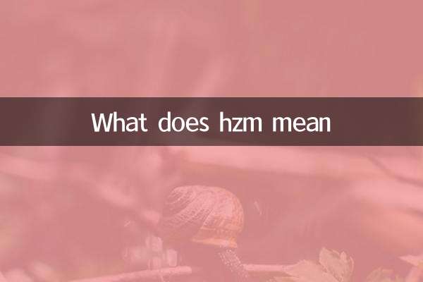 Was bedeutet HZM
