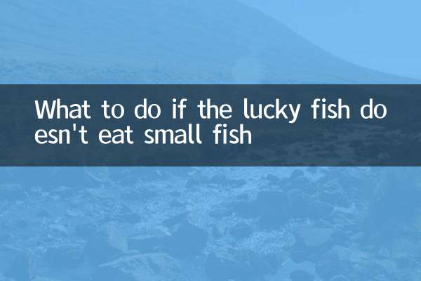 Was zu tun, wenn der glückliche Fisch keinen kleinen Fisch isst