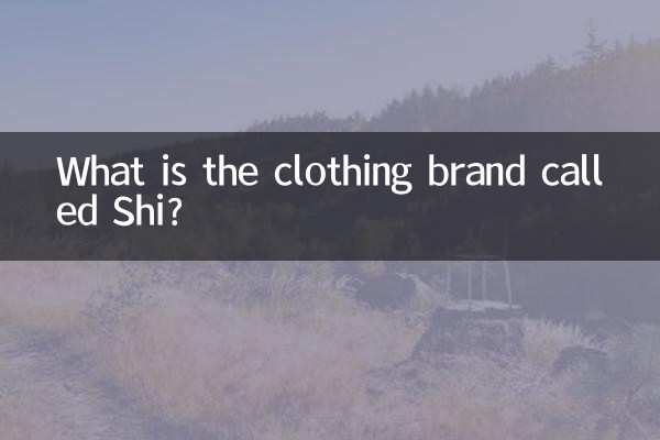 衣服牌子叫诗什么