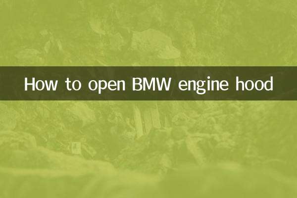 BMW 엔진 후드 여는 방법
