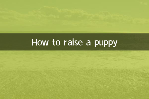 How to raise a puppy