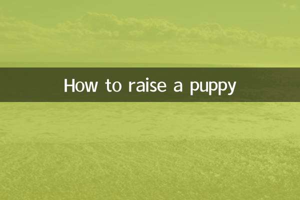 How to raise a puppy