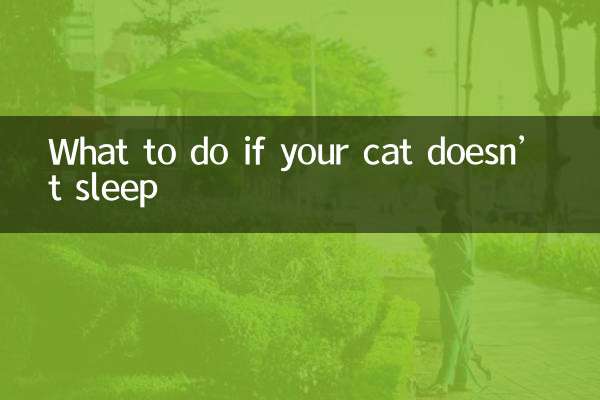 고양이가 잠을 자지 않는다면 어떻게 해야 할까요?