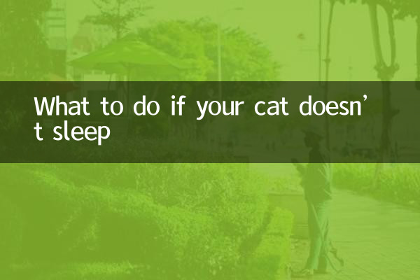 আপনার বিড়াল ঘুম না হলে কি করবেন