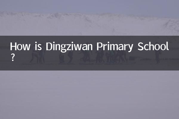 ডিংজিওয়ান প্রাথমিক বিদ্যালয় কেমন?