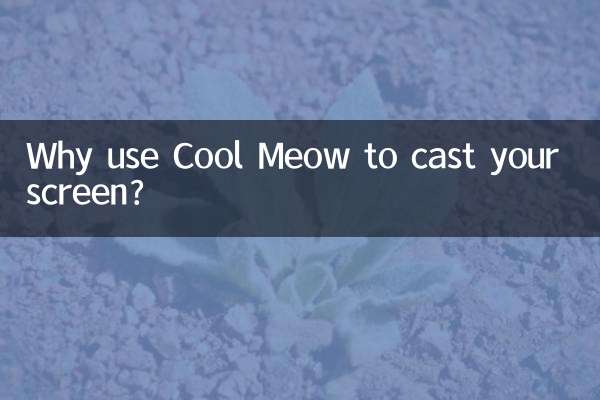 Why use Cool Meow to cast your screen?