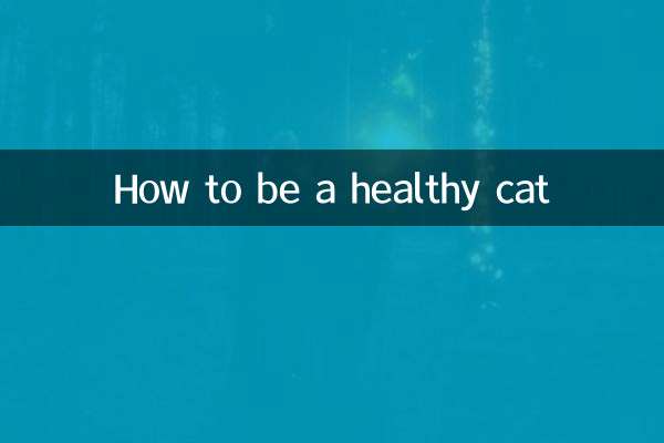 건강한 고양이가 되는 방법