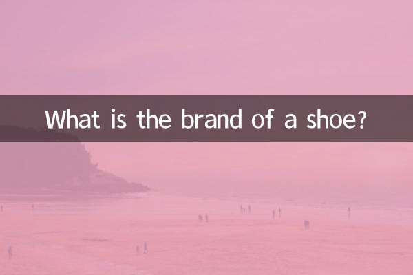 Qual è la marca di una scarpa?