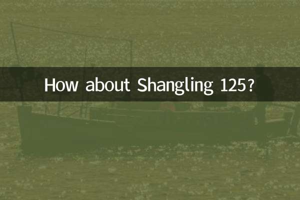 শাংলিং 125 কেমন হবে?