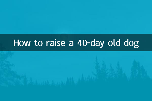 কিভাবে একটি 40 দিন বয়সী কুকুর বাড়াতে
