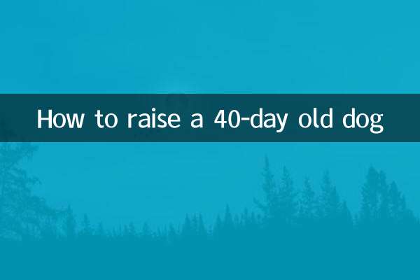 كيفية تربية كلب عمره 40 يوما