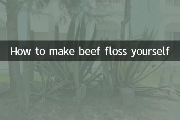 How to make beef floss yourself