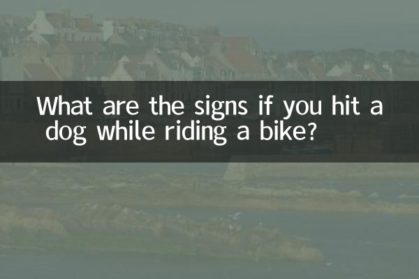 What are the signs if you hit a dog while riding a bike?