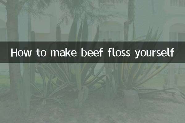 How to make beef floss yourself