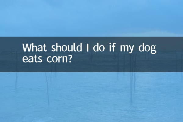 यदि मेरा कुत्ता मक्का खाता है तो मुझे क्या करना चाहिए?