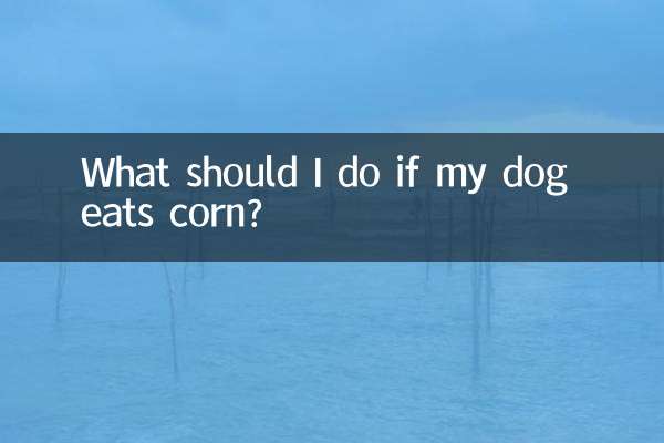 यदि मेरा कुत्ता मक्का खाता है तो मुझे क्या करना चाहिए?