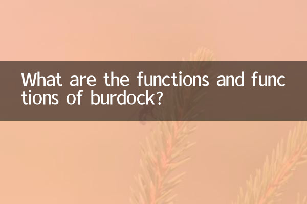 ما هي وظائف ووظائف الأرقطيون؟