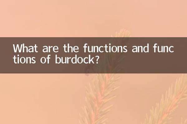 ما هي وظائف ووظائف الأرقطيون؟