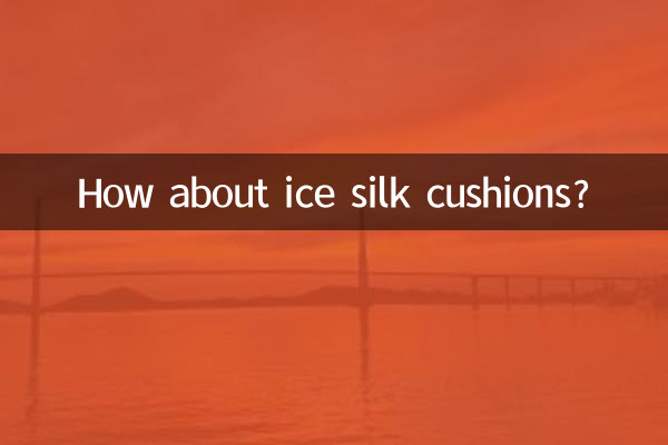 बर्फ रेशम के तकिये के बारे में क्या ख्याल है?