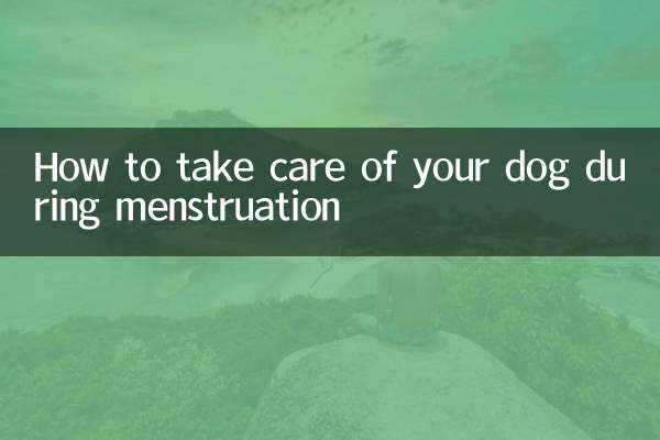 मासिक धर्म के दौरान अपने कुत्ते की देखभाल कैसे करें?