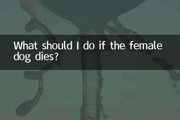 O que devo fazer se a cadela morrer?