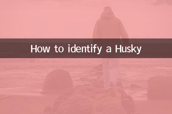 怎么辨认哈士奇