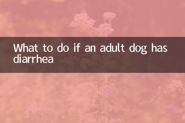 اگر کسی بالغ کتے کو اسہال ہو تو کیا کریں