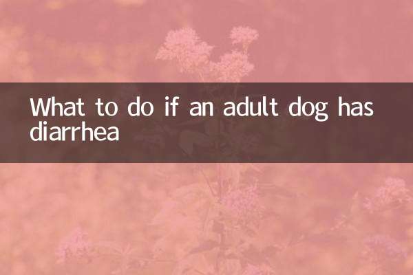 成犬拉肚子怎么办