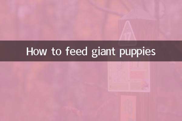 巨大な子犬に餌をやる方法