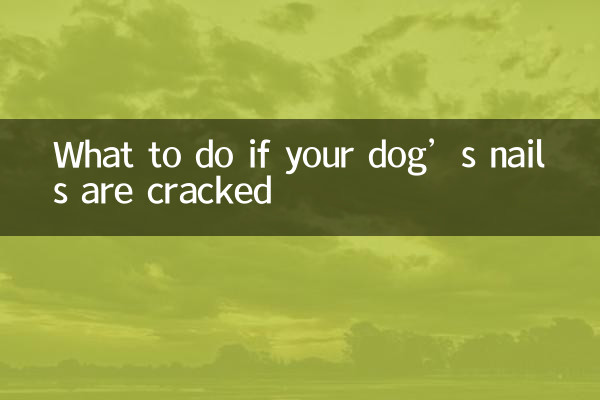 Qué hacer si a tu perro se le rompen las uñas