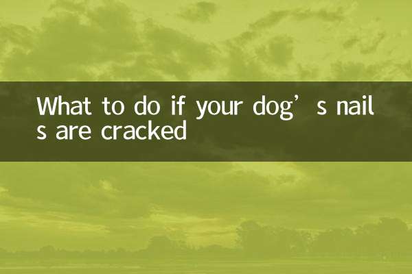 আপনার কুকুরের নখ ফাটলে কী করবেন